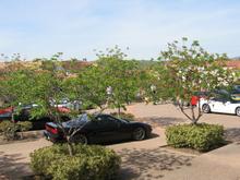 IMG_7624.JPG