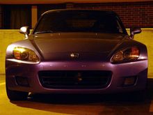 DSC00389 (Medium).JPG