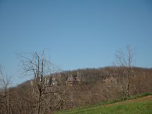 WintergreenVista