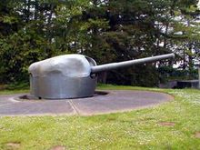 CANNON AT COLUMBIA STATE PARK.jpg