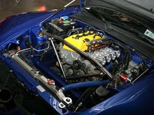 HIN_60907-002.jpg