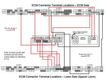 Loom schema 4.jpg