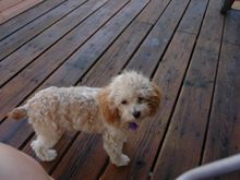 DSC_0551.JPG