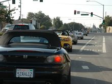 DSC_4533.jpg