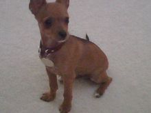 BlackBerry Pics 2 239.jpg