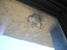DSC03122.JPG