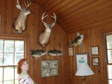 Deer Mounts at the Main Cabin