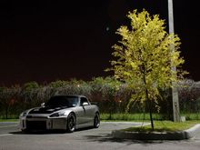 dsc1680.jpg