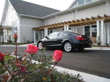 Anna's Accord Coupe 015.jpg