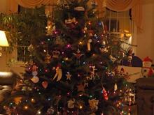 DSC_6917 071215 tree.JPG