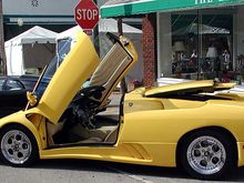 yellow lam1.jpg