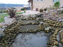 Pond Build