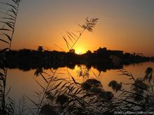 Sunset_ShadesWM.JPG