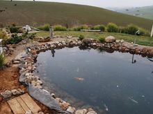 Pond Makeover 2008-02-17_2a.jpg