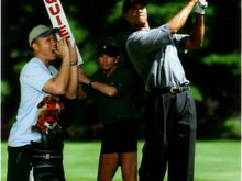 tiger.jpg