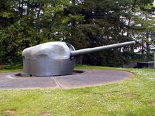 CANNON AT COLUMBIA STATE PARK.jpg