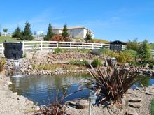 Pond Makeover 2008-03-08_2.JPG