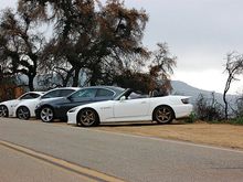 Cars.JPG