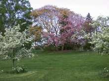 DSCN3777.JPG