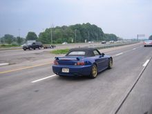 IMG_2293.jpg