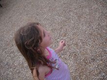 Oklahoma Trip 2008 769.JPG