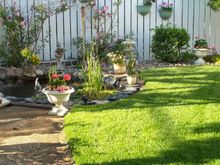 Yard Pond 2008 020.jpg