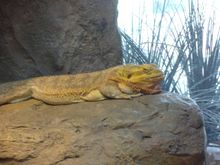 Vacation 2008 146.jpg