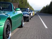 b lined up.jpg