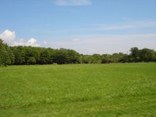 DSC01985a.jpg