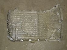 DSC01344.jpg