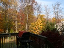 IMG_5867.JPG