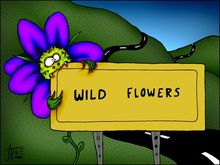 wild_flowers.jpg