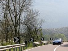 IMG_0183 (Large).jpg