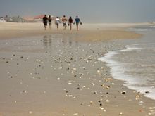 IMG_3036 beach.jpg