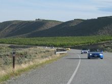 08 brewster.jpg