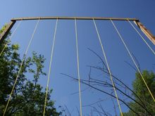 Trellis_top_LR.jpg