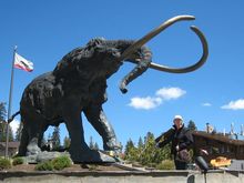 Mammoth debbie.jpg