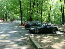 DSC01231.jpg