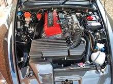 DSC_0003_edited-1.JPG