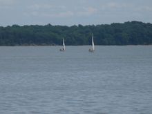 Sailing - kids 2009 007.jpg