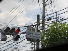 IMG_1007 (Large).JPG
