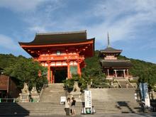 IMG_1150 (Large).JPG
