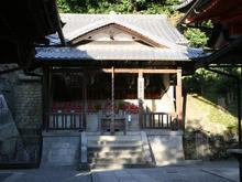 IMG_1172 (Large).JPG