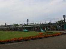 IMG_1650 (Large).JPG