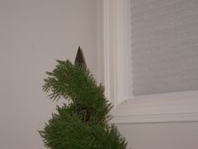DSCN8041.JPG