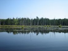 IMG_7917.JPG