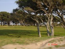 Carolina Beach 2009 031.jpg