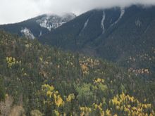 DSC_0441.JPG