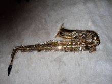 SDC10430.JPG