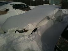 snow s.jpg